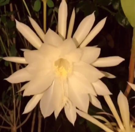 重庆18年10月自学考试报名通知