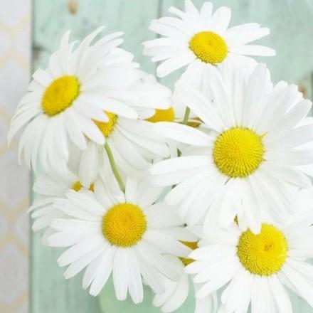 我来陪跑毛中特,让你一次过